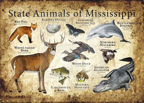 Mississippi Island State Animals Poster Print - inkart