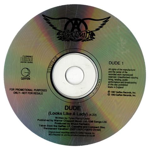 Aerosmith - Dude (Looks Like A Lady) (1993, CD) | Discogs