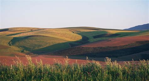 Overberg, South Africa - Travel Info | Rhino Africa