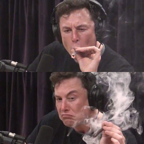 Elon Musk smoking weed blank meme : r/memes