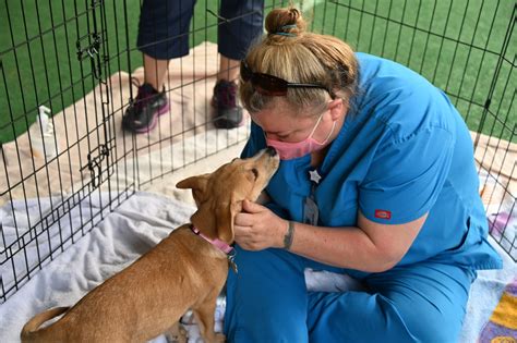 CUDDLE THERAPY FOR CARETAKERS - Helen Woodward Animal Center