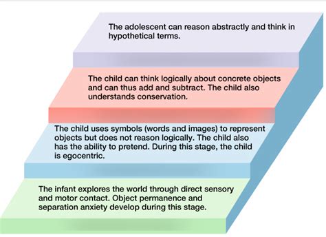 Piaget's Stages of Cognitive Development Diagram | Quizlet