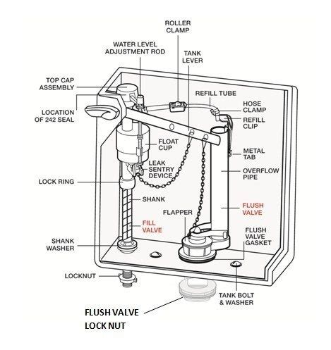 Parts of a Toilet Explained