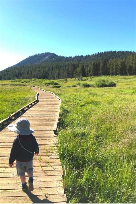 hiking trails in truckee | North lake tahoe, Truckee, Hiking trails