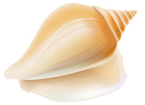 Free Seashell Clipart Pictures - Clipartix