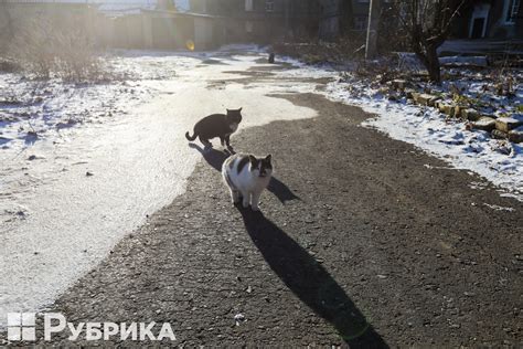 Film for broken windows and constant voice of war: how frontline Chasiv ...