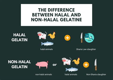 How to Tell the Difference Between Halal and Non-Halal Gelatin – The Halal Life