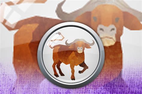 2021 Year of the Ox: What does the Chinese Horoscope Sign mean?