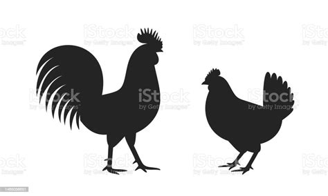 Rooster Silhouette Isolated Rooster On White Background Stock ...