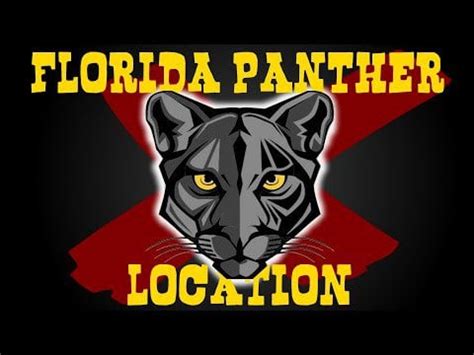 RDR2 ONLINE FLORIDA PANTHER LOCATION : r/reddeadredemption