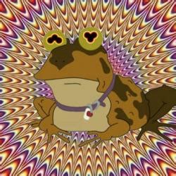 Hypnotoad meme generator