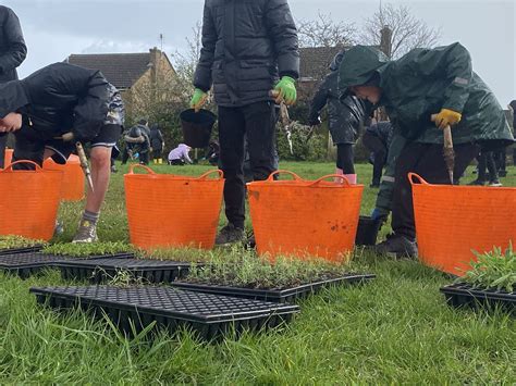 Newlands Spring Primary School pupils embrace wildflower planting project | City Life