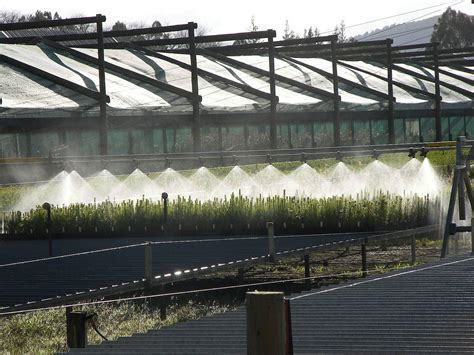 greenhouse-irrigation — Wolf Creek - wholesale Irrigation | Landscape ...