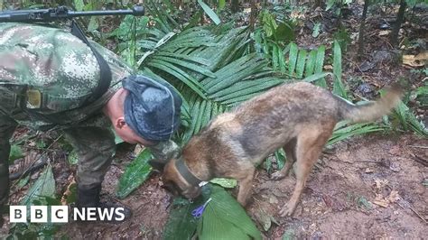 Colombia plane crash: Children reportedly survived 16 days in jungle