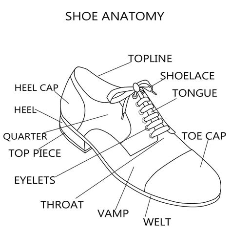 Shoe Anatomy: How Shoes are Made - Shoerazzi