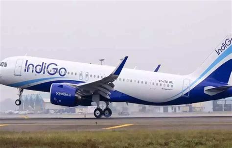 IndiGo adds 2 new international destinations to its network, ET ...