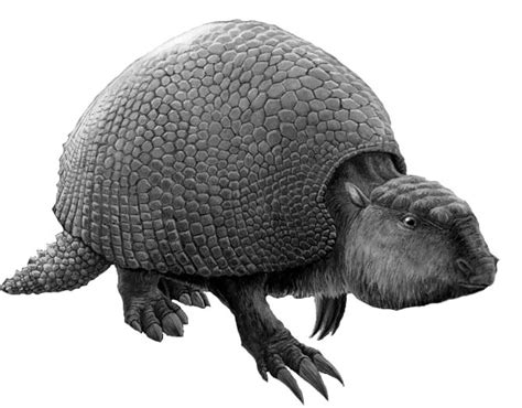 Glyptodon – walking fortress | DinoAnimals.com