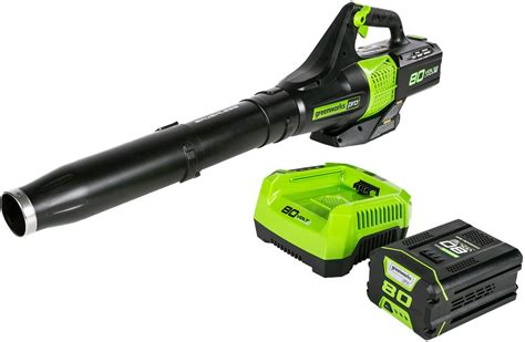 Best Greenworks Cordless Snow Blower - Sweet Life Daily