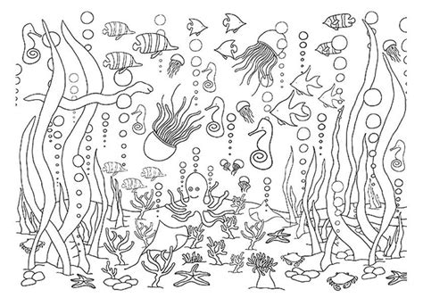 5 Underwater Coloring Pages - diy Thought