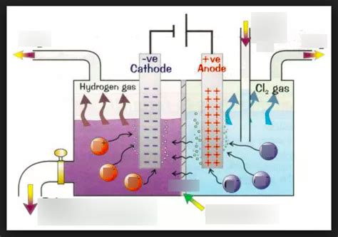 Diagram of CHEMISTRY- ELECTROLYSIS OF BRINE | Quizlet