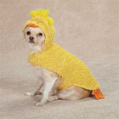 Duck Halloween Dog Costume | Dog halloween costumes, Dog halloween, Pet ...