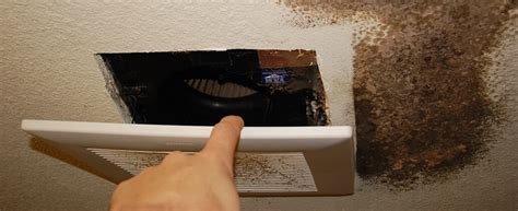 Long-Term Bathroom Mold Prevention | Environix