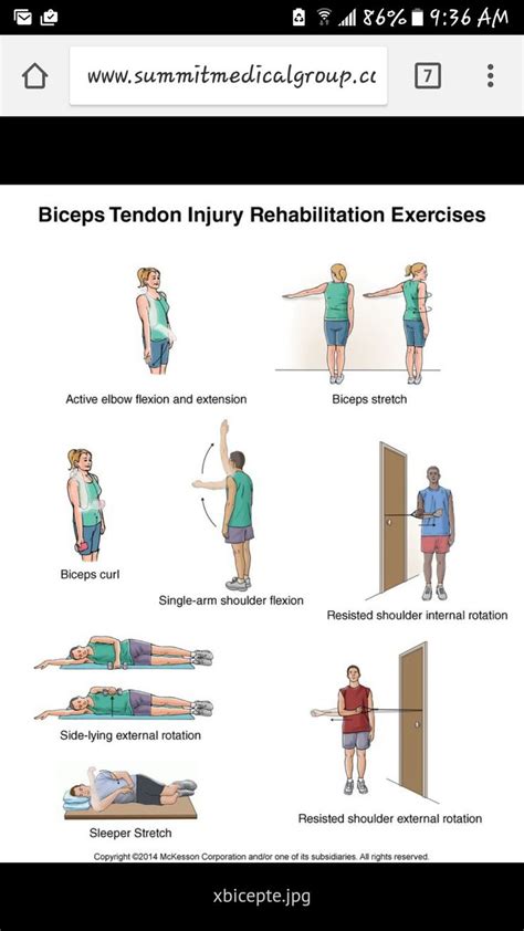 Exercises for bicep tendonitis | Bicep tendonitis, Rehabilitation ...