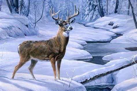 Beautiful Winter Landscape with Deer Background | Gallery Yopriceville - High-Quality Free ...