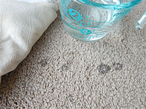 How to Easily Remove Stains from Carpet - Without Chemicals! - Proverbs 31 Homestead