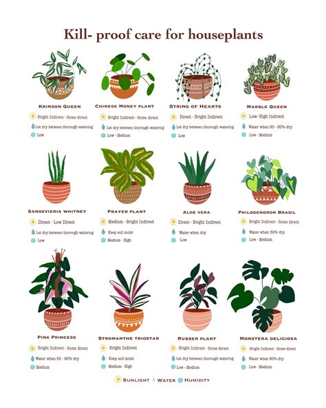 Plant Care Template