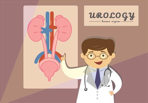 Urology Presenting Cartoon Illustration Style 153882 Vector Art at Vecteezy