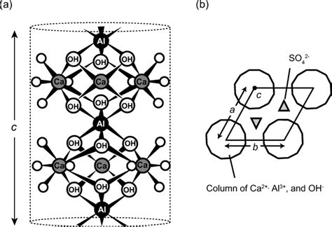 Schematics of ettringite crystal structure, which was modified from... | Download Scientific Diagram