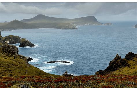 Discover the Subantarctic Islands | PONANT Magazine