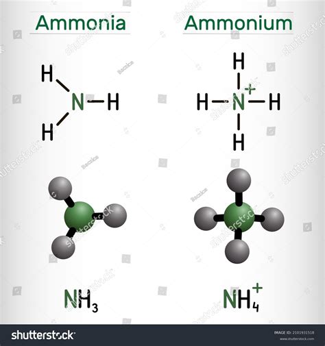 Ammonium Cation Nh4 Ammonia Nh3 Molecule Stock Vector (Royalty Free) 2101931518 | Shutterstock