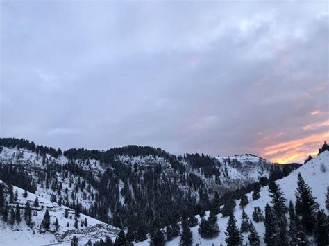 Snow at Logan Canyon, Utah : WeatherPorn