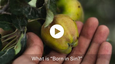 What is "Born In Sin?" - Soul Choice Ministries