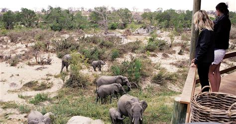 Londolozi Founders Camp in Sabi Sands Game Reserve - Kruger National ...