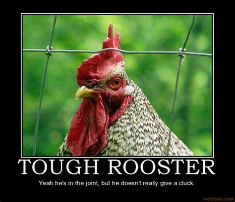 Funny Rooster Quotes. QuotesGram