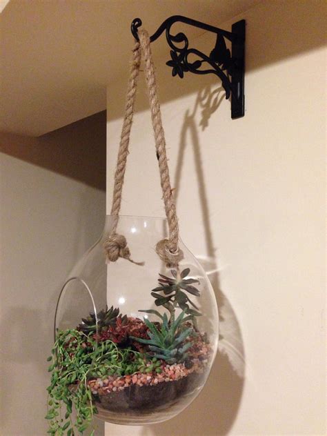 Hanging terrarium | Hanging terrarium, Terrarium, Hanging