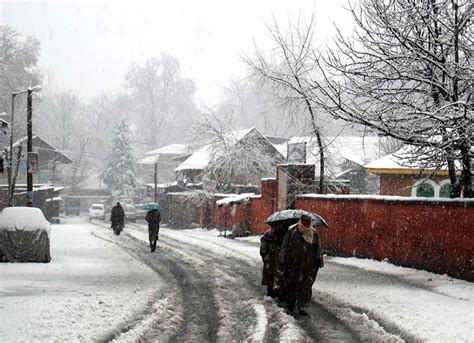 Season's First Snowfall in Kashmir