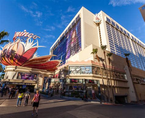 Flamingo Las Vegas Hotel & Casino - UPDATED 2017 Prices, Reviews & Photos (NV) - TripAdvisor