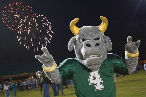 Happy Independence Day to our #USF family from Rocky the Bull! | Rocky the Bull | Pinterest ...