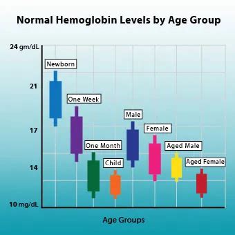 Hemoglobin: Normal, High, Low Levels, Age, Chart, Treatment & Symptoms