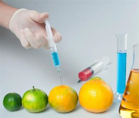 5 Benefits of Food Biotechnology That You Must Know