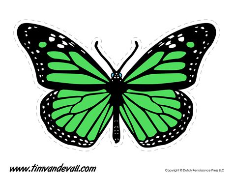 Green Butterfly - Tim's Printables