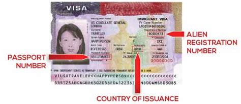 I 551 Card Number Location : How to Read a Green Card - CitizenPath / What is i 551 card ...