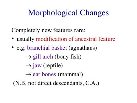 Lecture 20: Morphological Changes in Macroevolution