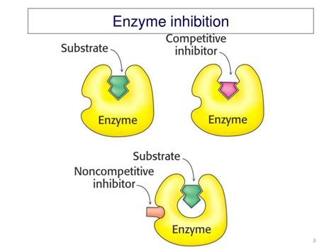 PPT - Lecture 7-Enzyme Inhibition-Drug Discovery PowerPoint Presentation - ID:5580915