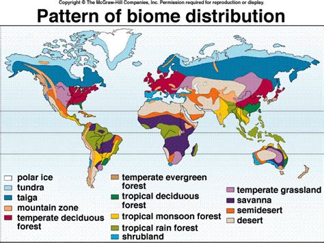 climate zones and biomes (lesson 0111) - TQA explorer