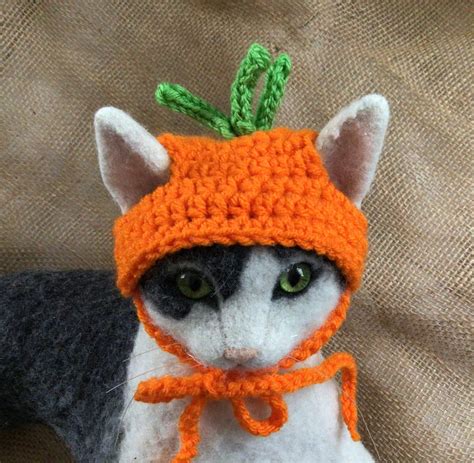 Crochet carrot hat fits all average size catssmall dogs (chihuahuafor exampleand other small ...
